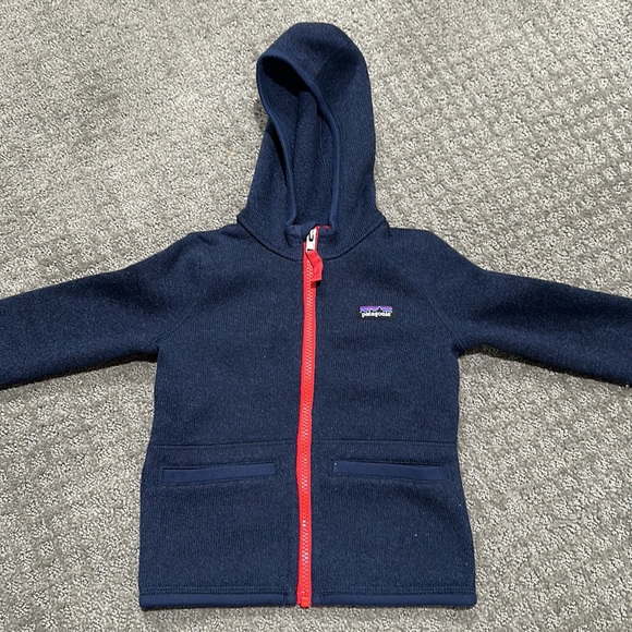Patagonia Other - Patagonia Hoodie